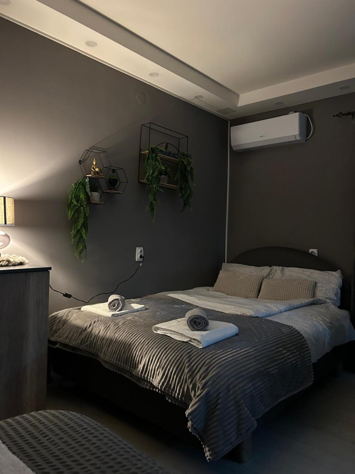 Beta House Apartments Zaječar المظهر الخارجي الصورة