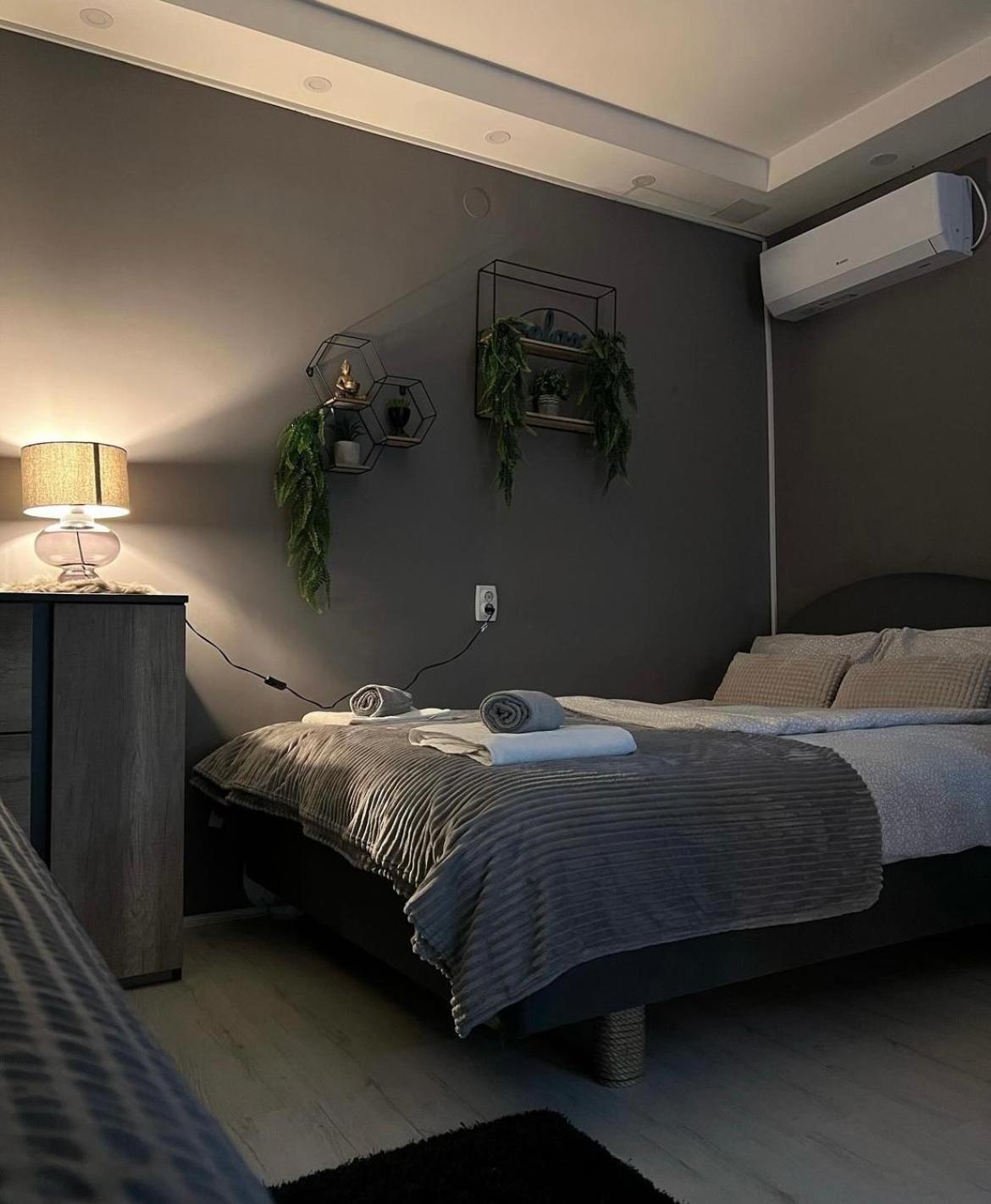 Beta House Apartments Zaječar المظهر الخارجي الصورة